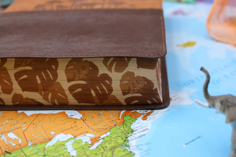 Product image 66